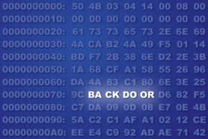Backdoor - Die Hintertür auf Ihrem Rechner